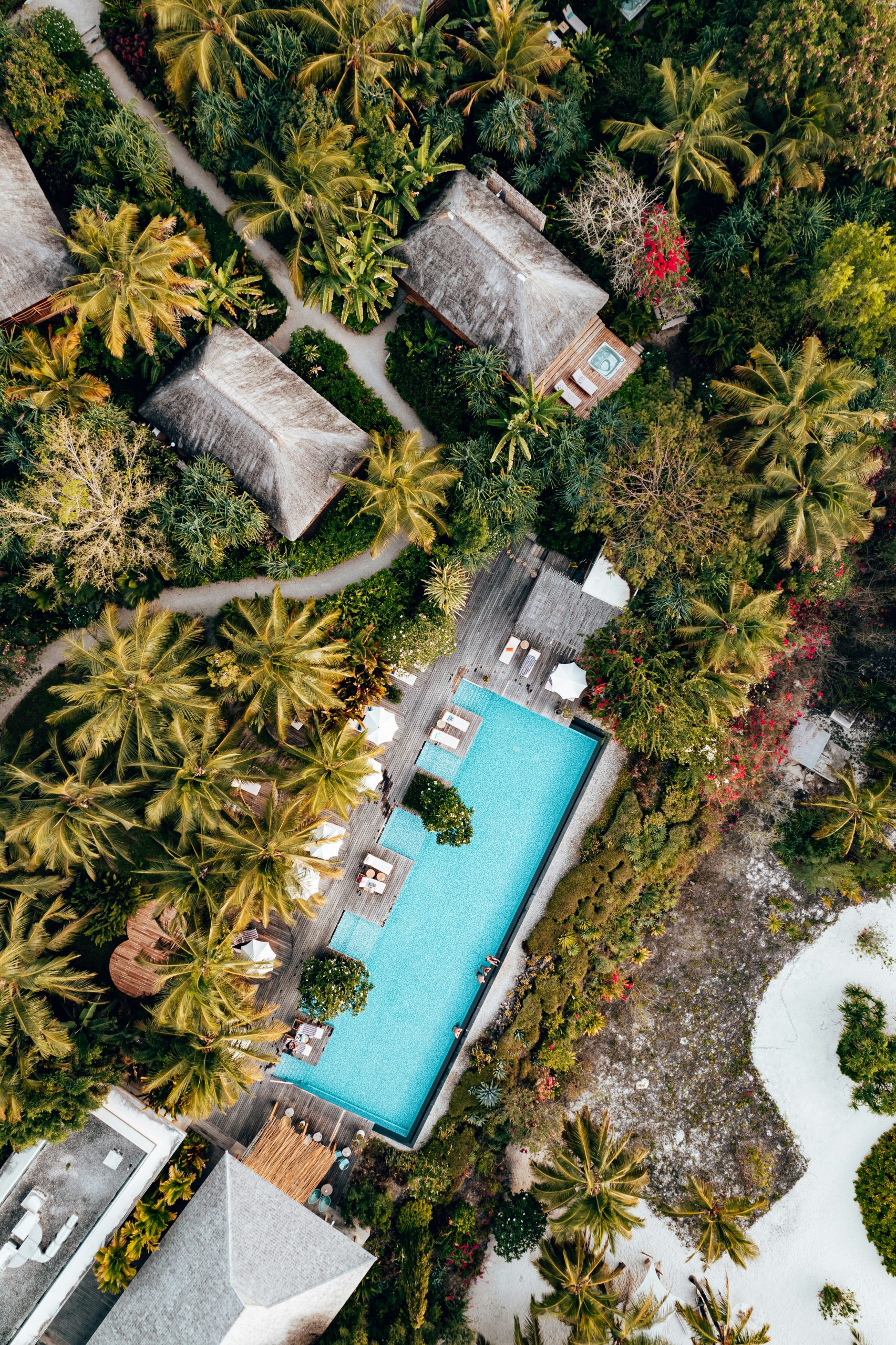 Aerial drone view of tropical resort villas, turquoise infinity pool and palm canopy — ALMAS Hospitality luxury development advisory